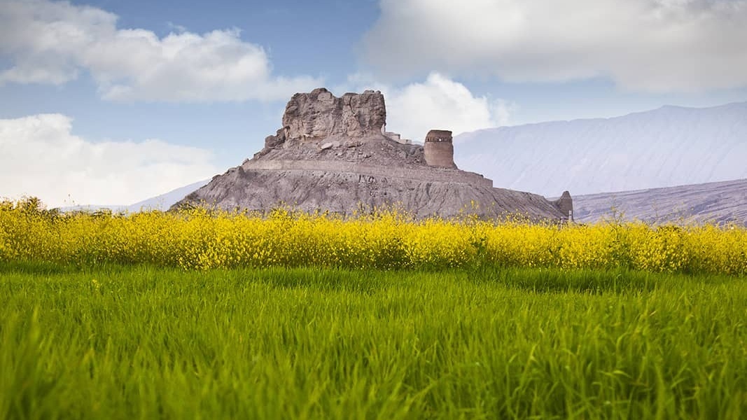 فین در مسیر حفاظت و مرمت مستمر