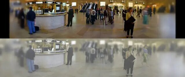 میدان بینایی گربه ها