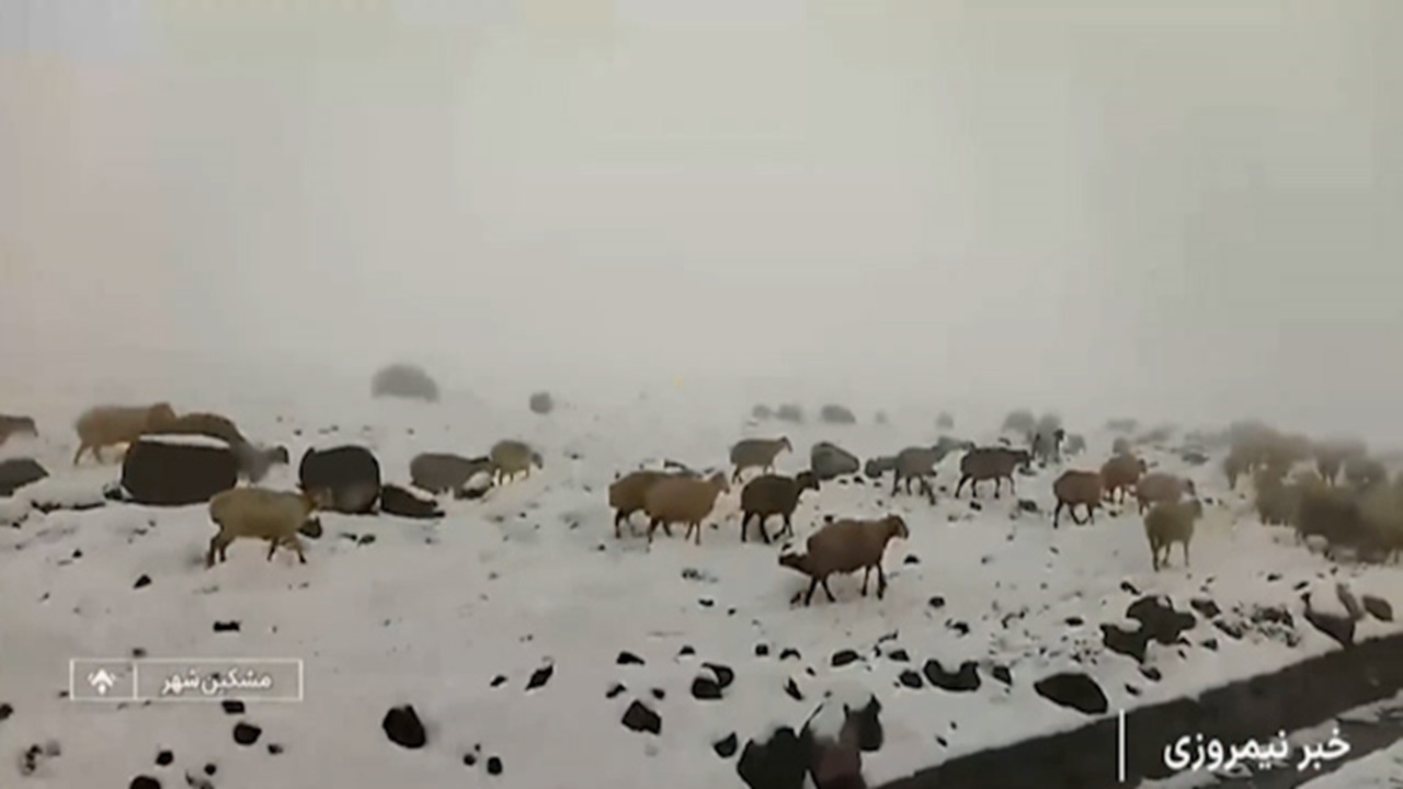 برف و باران در آستانه فصل هزار رنگ + فیلم