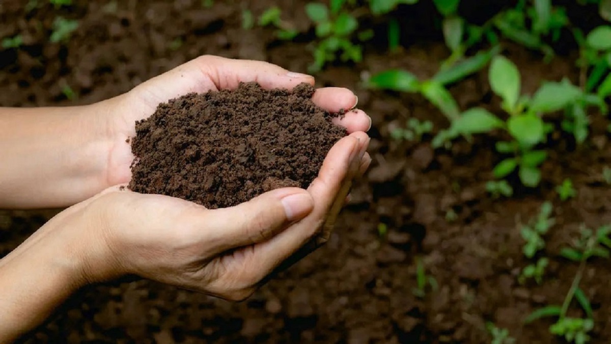 باشگاه خبرنگاران -آموزش شهروندی و آشنایی کودکان با مدیریت پسماند