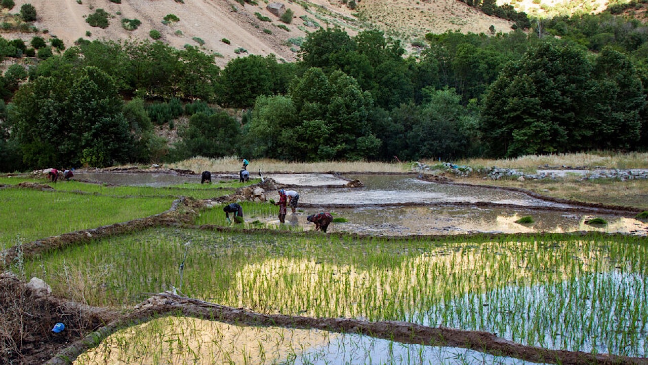 تخصیص ۶ هزار میلیارد تومان به طرح ملی آبخیز تا جالیز در سال‌جاری