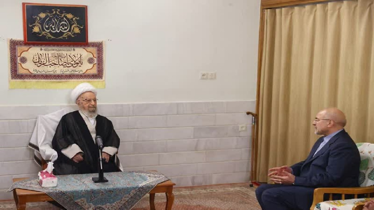 دیدار رئیس مجلس شورای اسلامی با مراجع عظام تقلید درقم