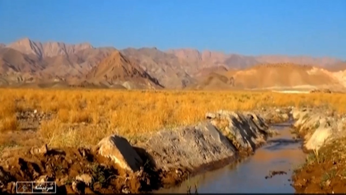 بازگشت به روستای پدری + فیلم