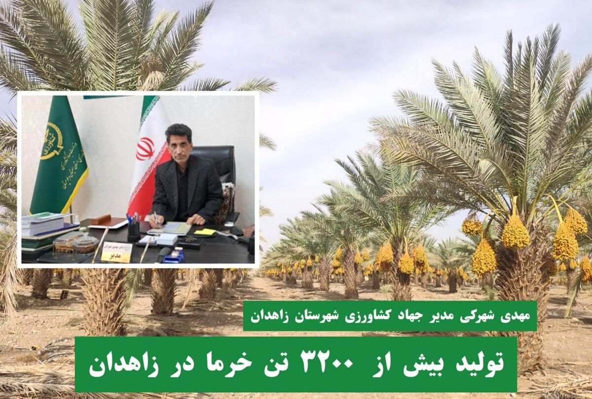 کدو تنبل بیش از ۵۰۰ کیلوگرمی در لهستان! + فیلم