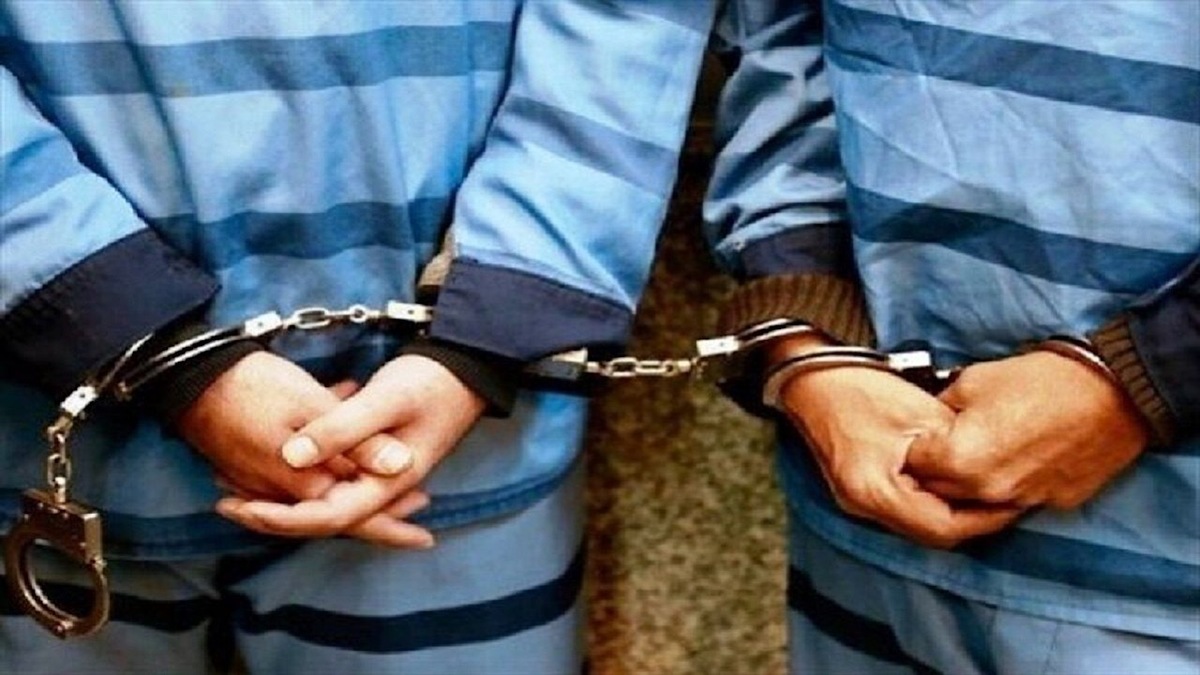 کشف مواد مخدر توسط سگ‌های موادیاب + فیلم