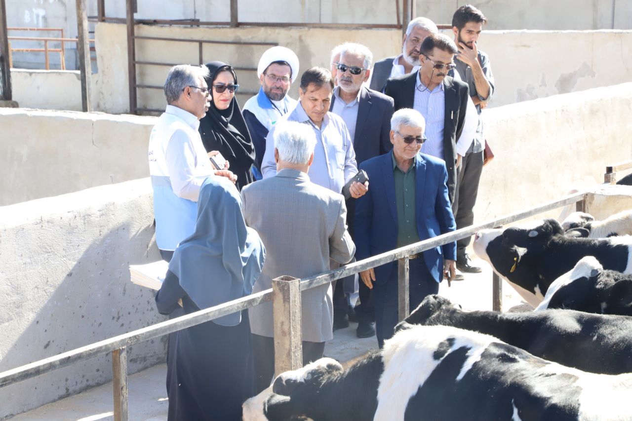 نظارت بهداشتی و شرعی بر کشتار دام در سیستان و بلوچستان
