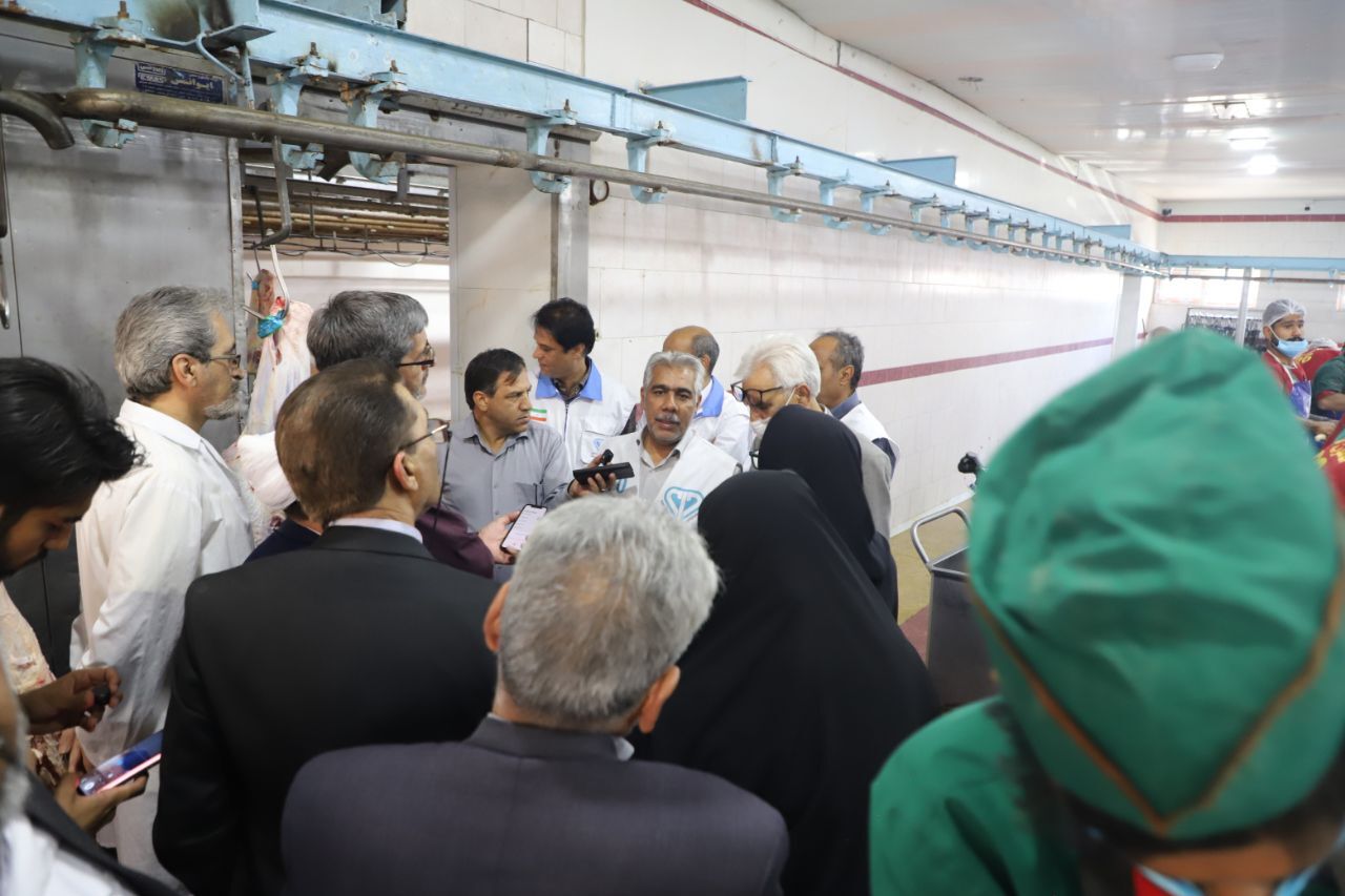 نظارت بهداشتی و شرعی بر کشتار دام در سیستان و بلوچستان