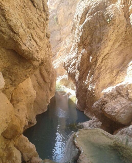 بندرلنگه؛ ثروتی پنهان در صدف تاریخ&zwnj; یا عروس بنادر ایران&zwnj;