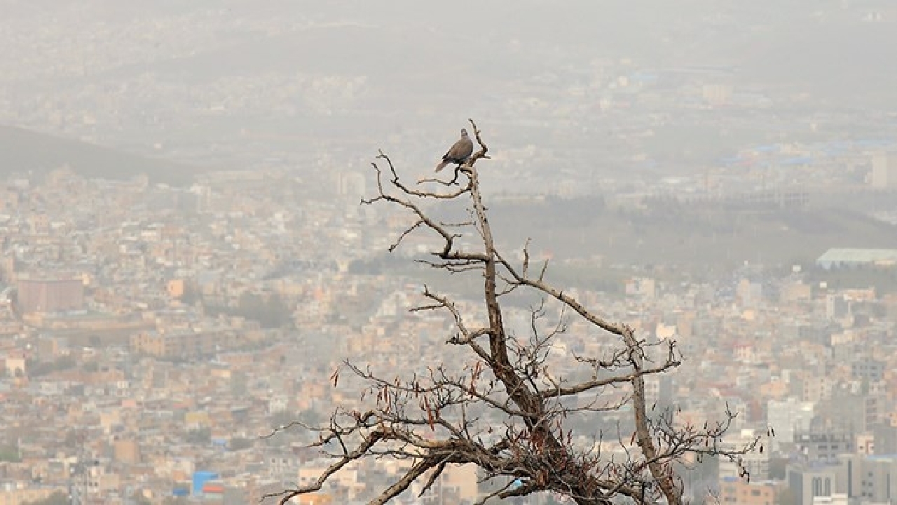آلودگی هوا در ۱۱ شهر خوزستان؛ اهواز در وضعیت بنفش و بسیار ناسالم