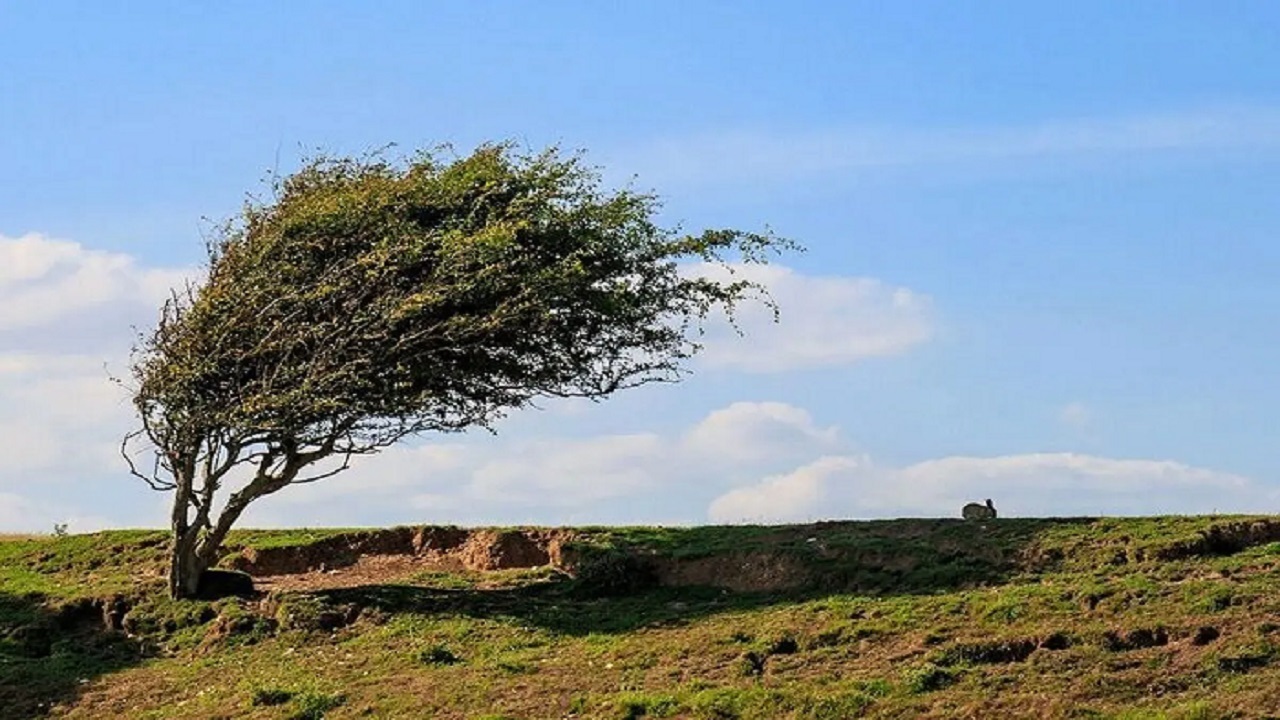 هشدار وزش باد شدید و گرد و خاک در غرب و جنوب غرب استان قزوین