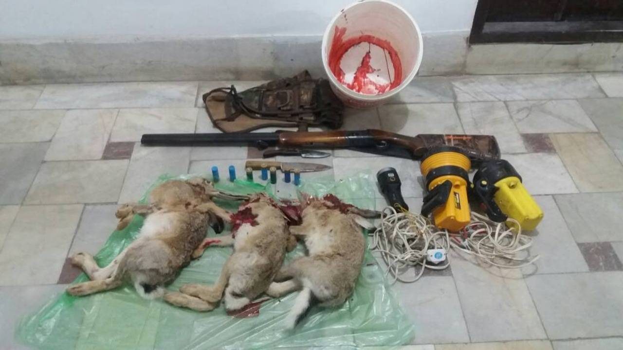 دستگیری شکارچیان غیر مجاز در گشت شبانه یگان حفاظت محیط زیست قروه