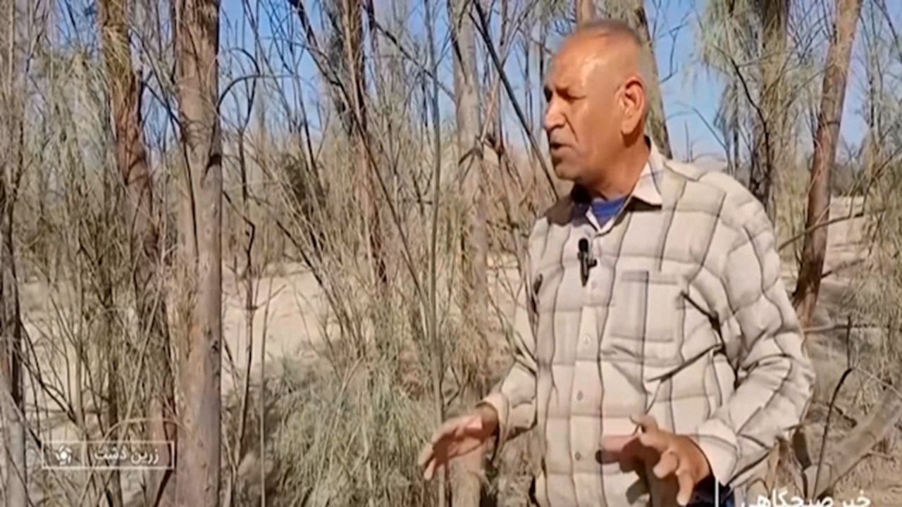شوره‌زاری که جنگل شد + فیلم