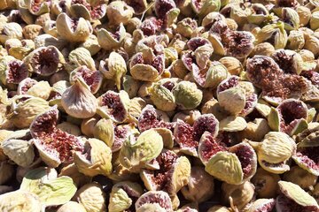 استهبان؛ پایتخت جهانی انجیر خشک + فیلم