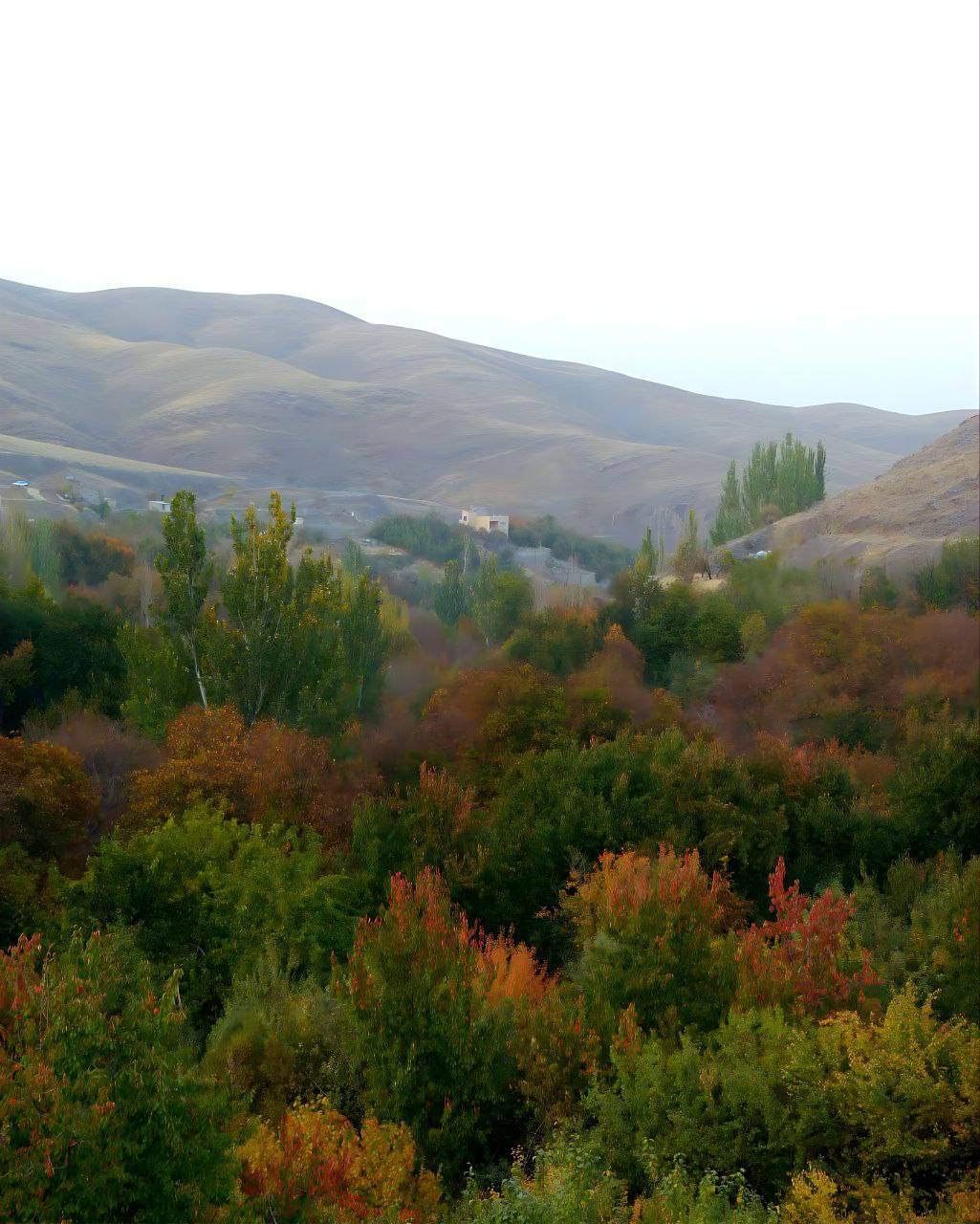 نمایی از پاییز هزار رنگ روستای ازغد در قاب تصاویر