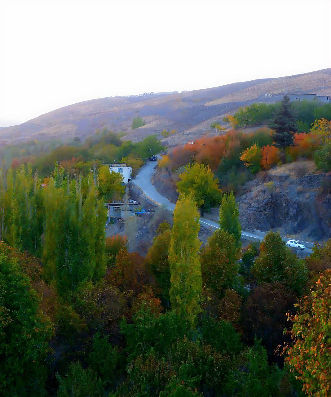 نمایی از پاییز هزار رنگ روستای ازغد