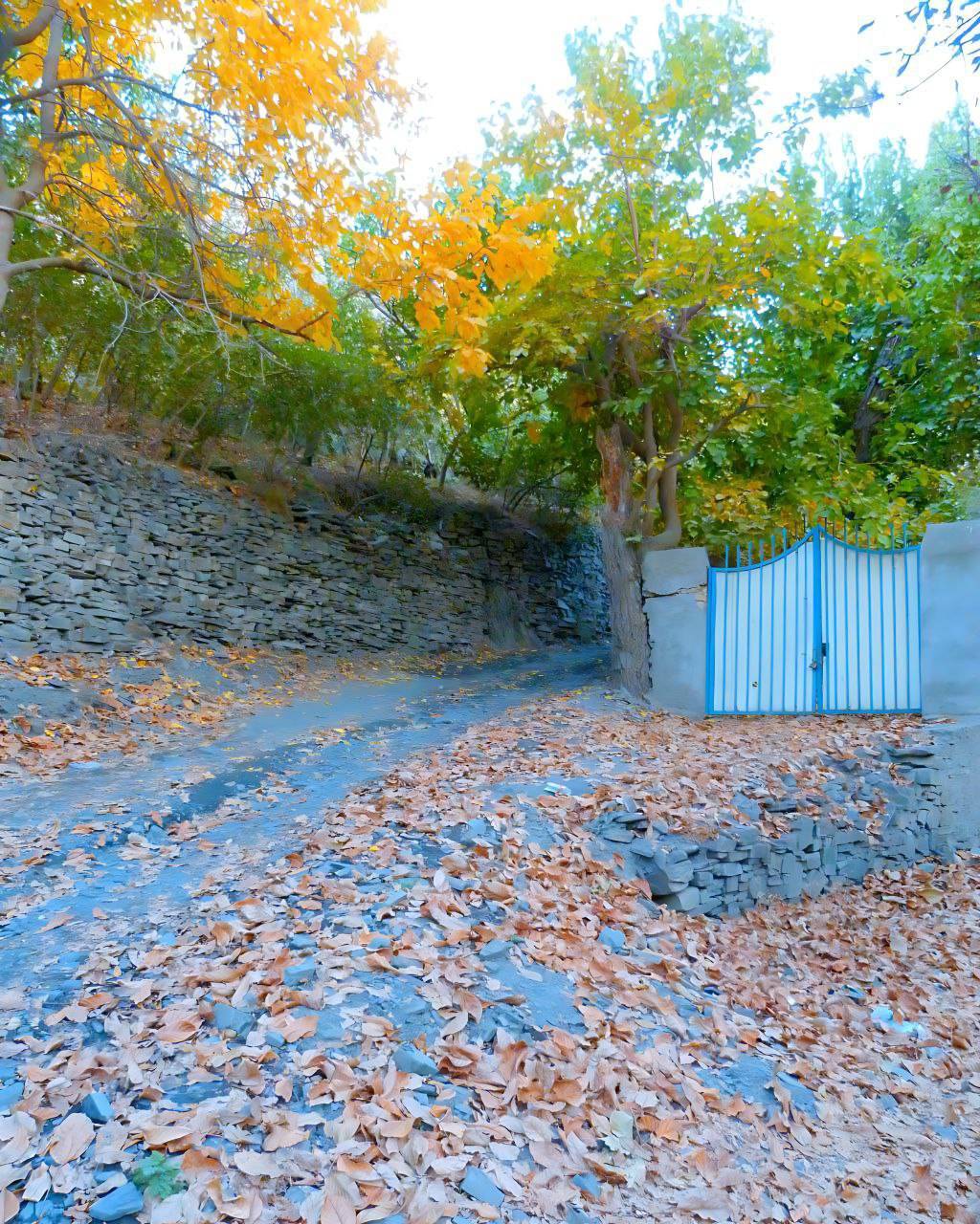 نمایی از پاییز هزار رنگ روستای ازغد در قاب تصاویر