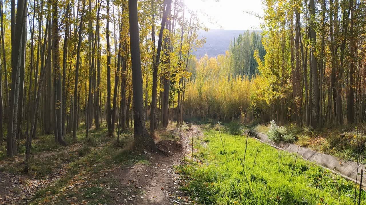 به تماشای طبیعت زیبای ده چشمه بنشینید + تصاویر