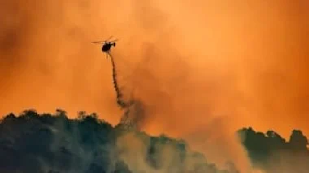جهشی در سطح دی اکسید کربن در جو زمین 
