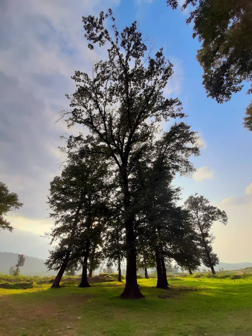 قابی خاطره انگیز از روب یک روز پاییزی روستای قرن آباد گرگان