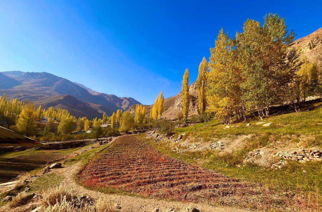 مناظر پاییزی
