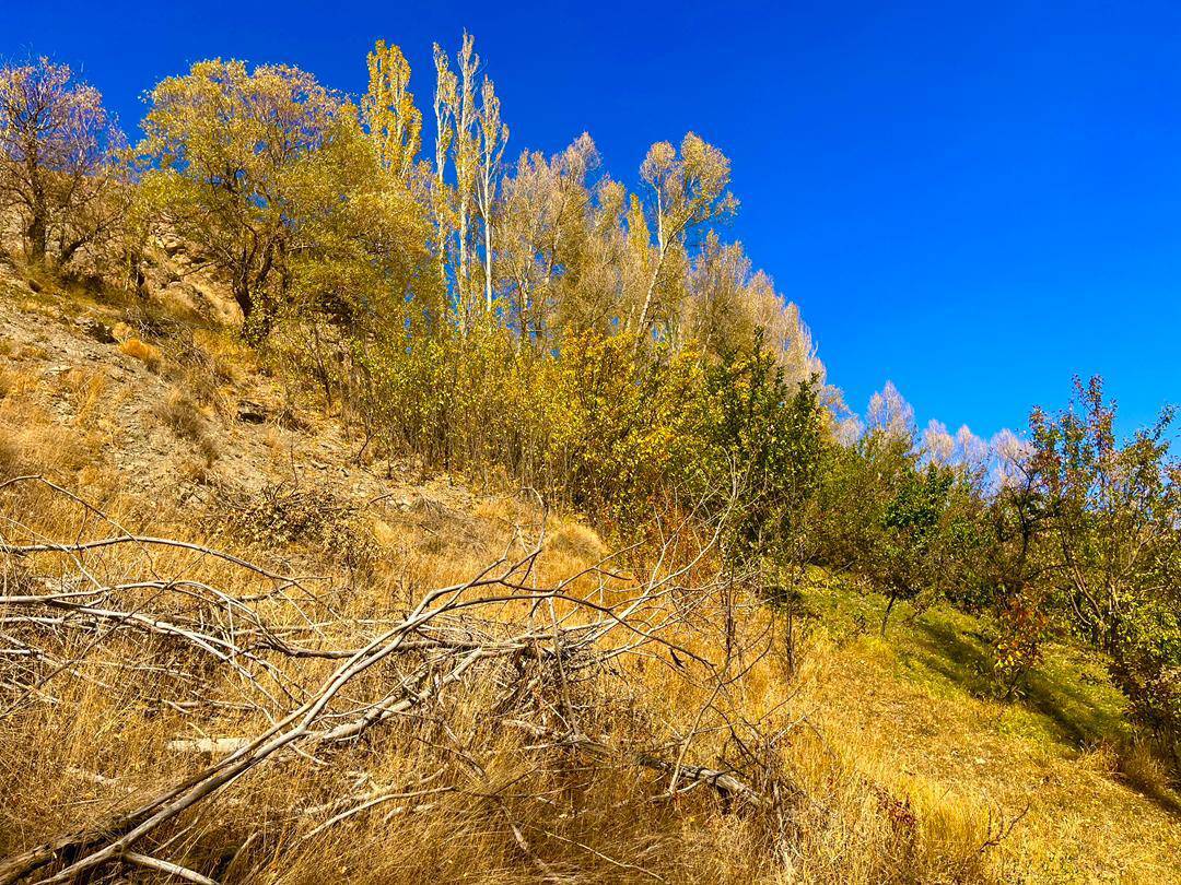 گشت و گذاری در روستای گردشگری نشل به وقت پاییز