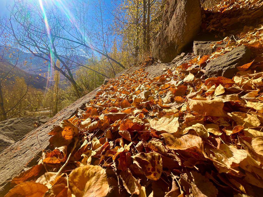 گشت و گذاری در روستای گردشگری نشل به وقت پاییز