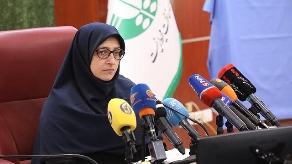 باشگاه خبرنگاران -برخی دستگاه‌ها در تلاش برای حذف نقش سازمان محیط زیست در امور هستند