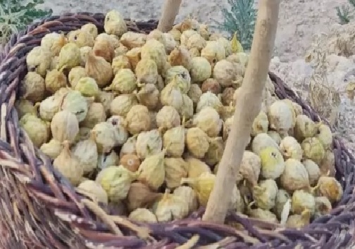 انجیر خشک