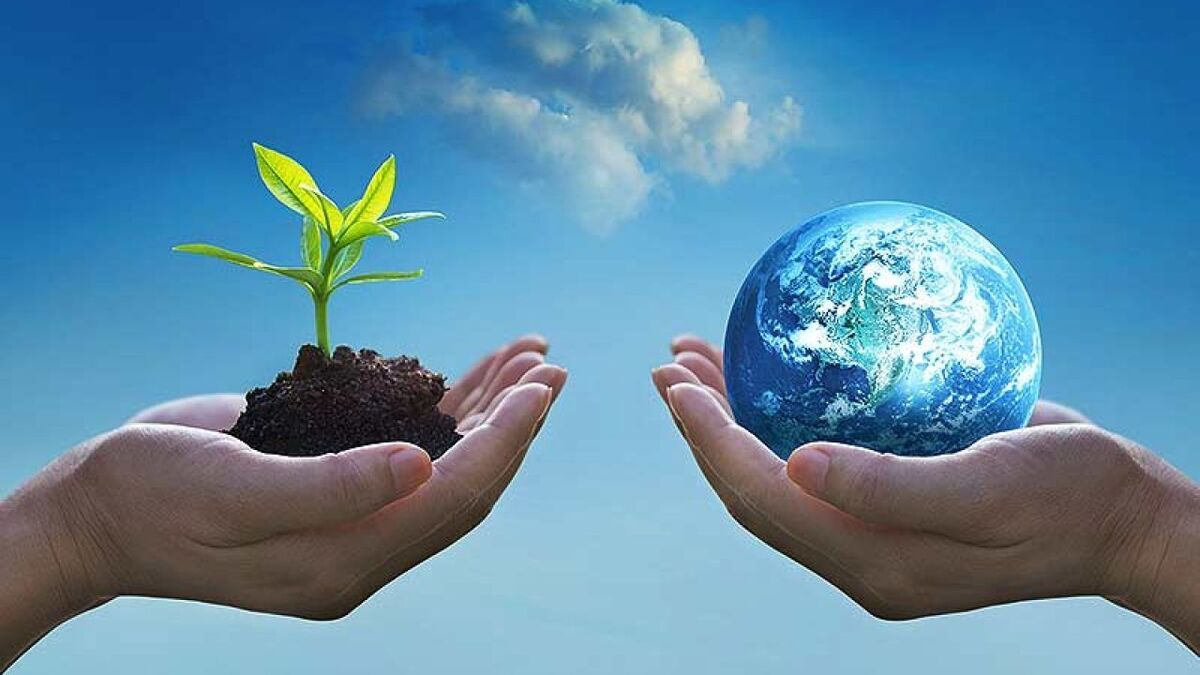 باشگاه خبرنگاران -اجرای آموزش محیط زیست برای مدیران و کارکنان دولت+ فیلم