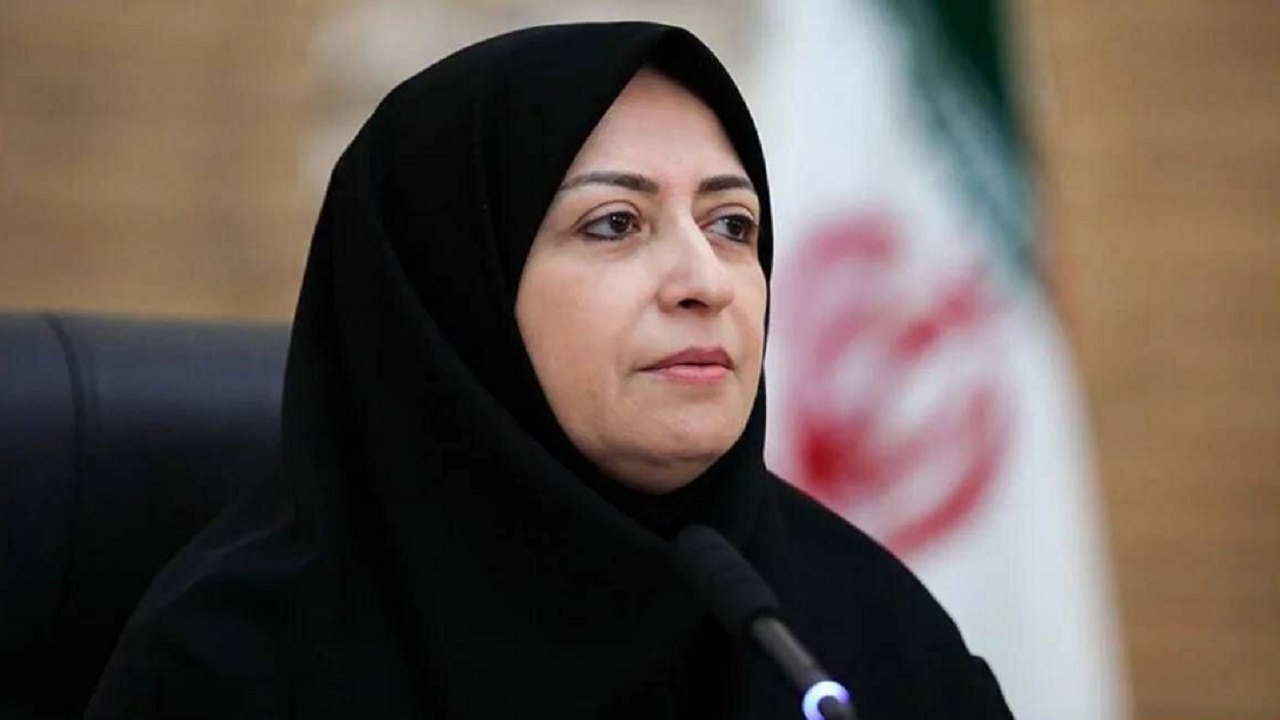 انصاری: از نقد‌های فعالان محیط زیست استقبال می‌کنیم