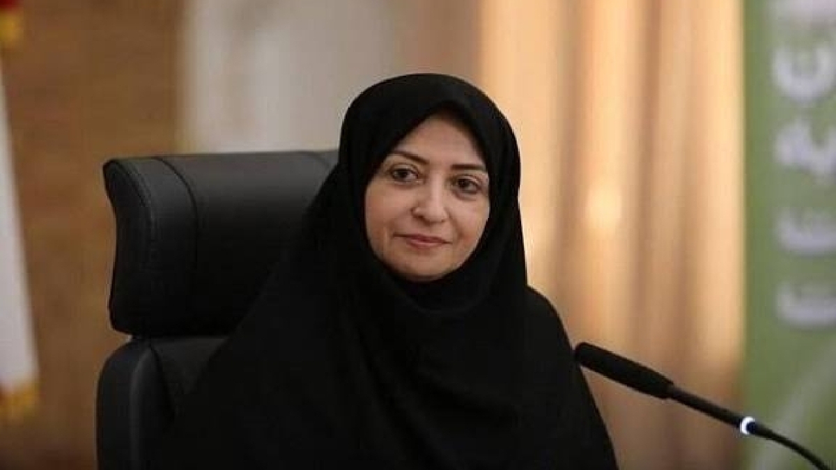 باشگاه خبرنگاران -انصاری: معضلات زیست‌محیطی بدون مشارکت زنان و بخش خصوصی حل نمی‌شود