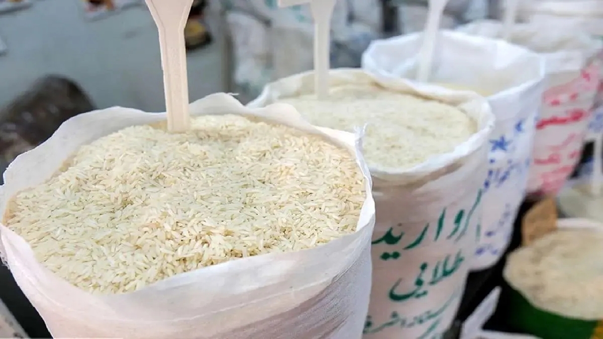 آغاز کشت پاییزه در اراضی کشاورزی خراسان شمالی + فیلم