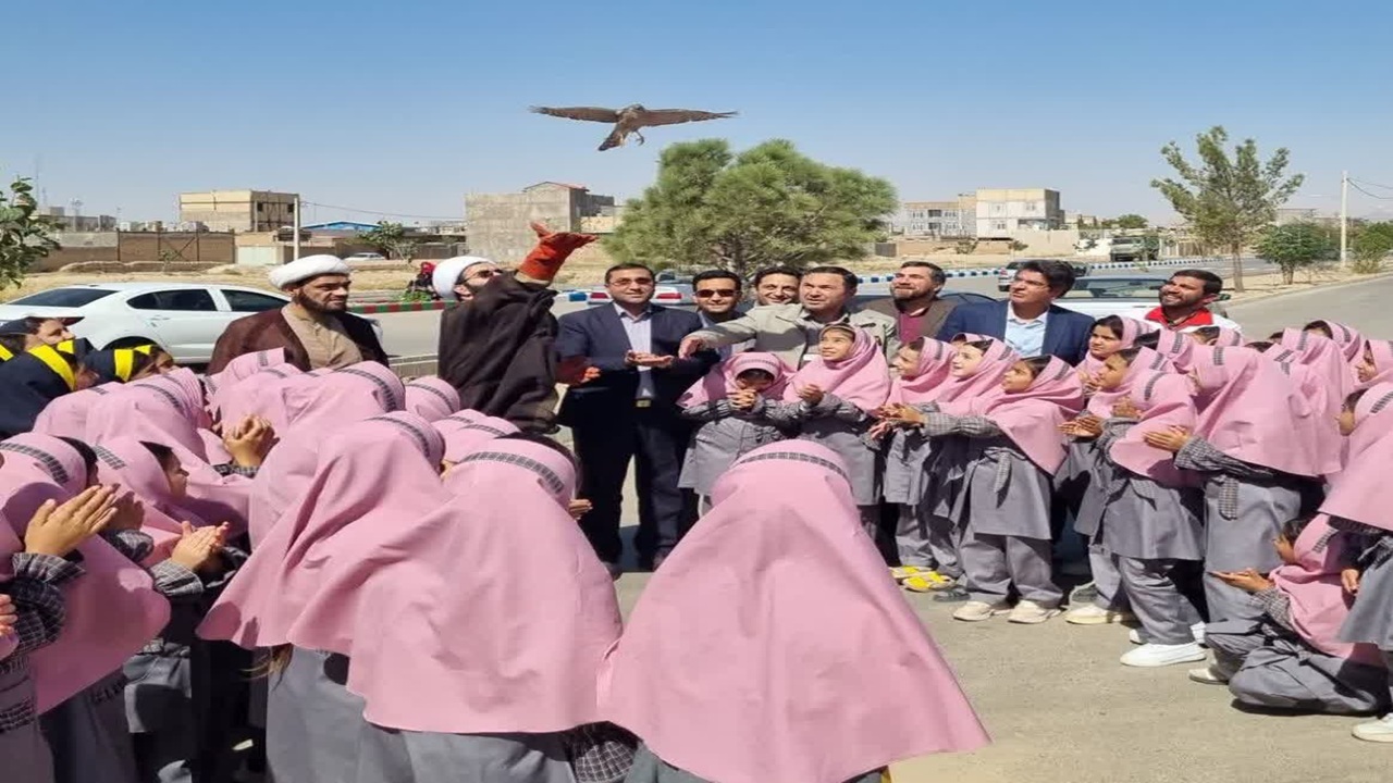 آزادسازی پرندگان