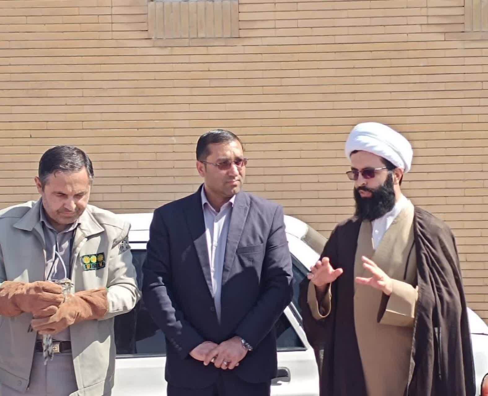 اقدام زیبای رهاسازی پرنده شکاری ارزشمند درطبیعت توسط مسئولان و دانش آموزان فیروزه
