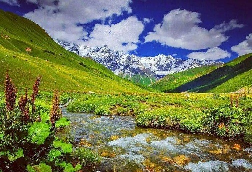 آواز هزار رنگ در طبیعت شگفت انگیز لرستان + تصاویر/ فعلا منتشر نشود آواز هزار رنگ در طبیعت شگفت انگیز لرستان + تصاویر/ فعلا منتشر نشود