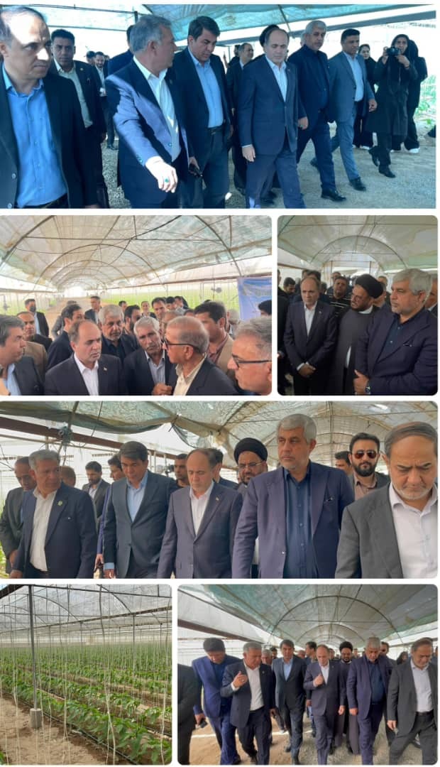 بازدید وزیر جهاد کشاورزی از مجموعه گلخانه‌ای برخوری در جیرفت