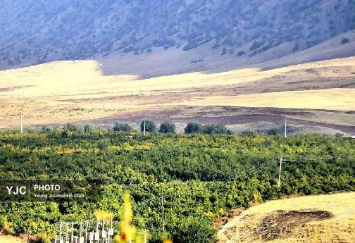 قاب هایی در میان سرخی انار تنگ سیاب/ فعلا منتشر نشود