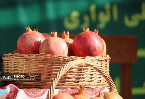 قاب هایی در میان سرخی انار تنگ سیاب/ فعلا منتشر نشود