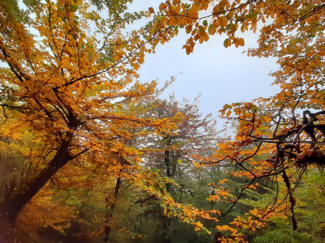 نمای پاییزی روستای زیارت نمای پاییزی روستای زیارت
