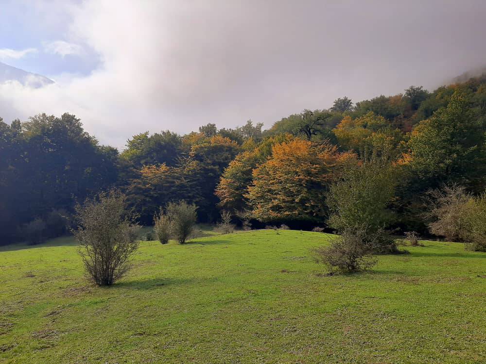 مناظر پاییزی