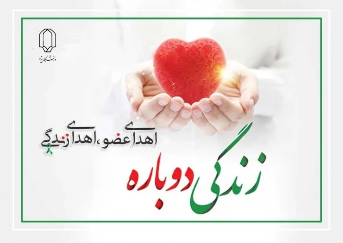 اهدای عضو دانشجوی مرگ‌مغزی دانشگاه یزد؛ تداوم حیات با تصمیمی ایثارگرانه