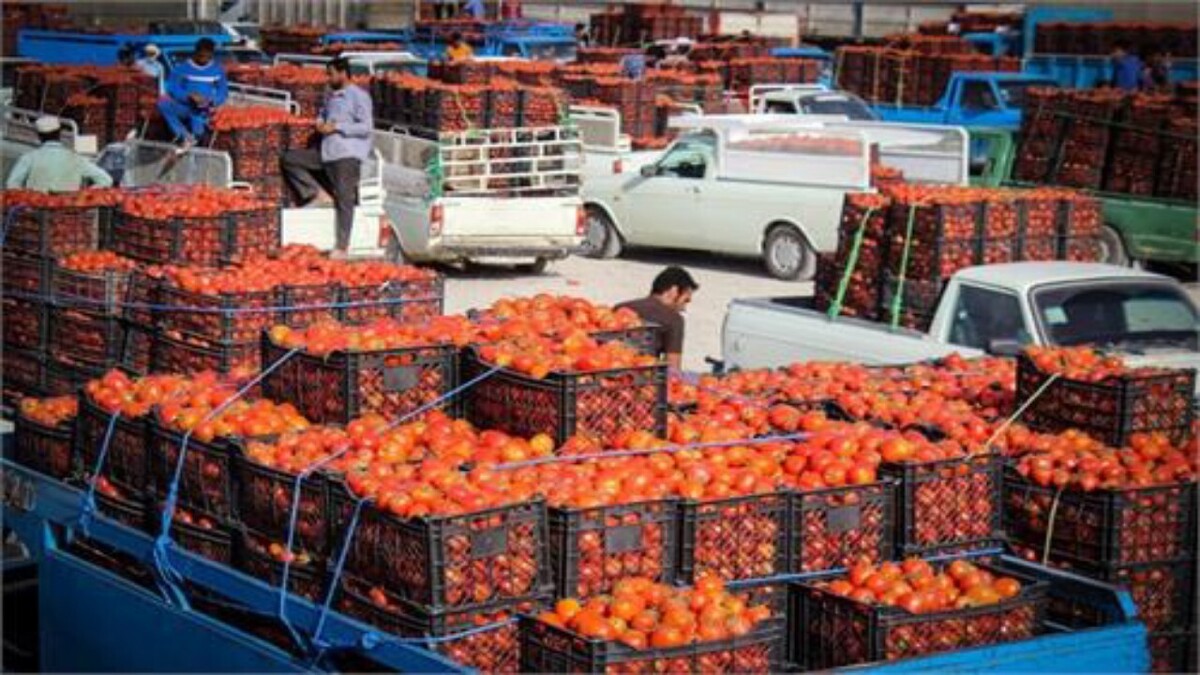 باشگاه خبرنگاران -ازبکستان متعهد به خرید تمام میوه‌های تازه افغانستان شد