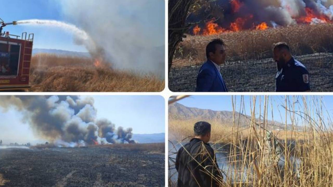مهار آتش‌سوزی گسترده در تالاب بین‌المللی زریبار مریوان