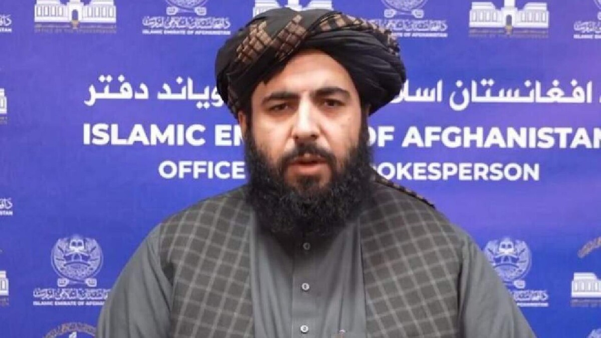 باشگاه خبرنگاران -واکنش منفی طالبان به گزارش سازمان ملل؛ خشخاش کاهش ۹۹ درصدی داشته است