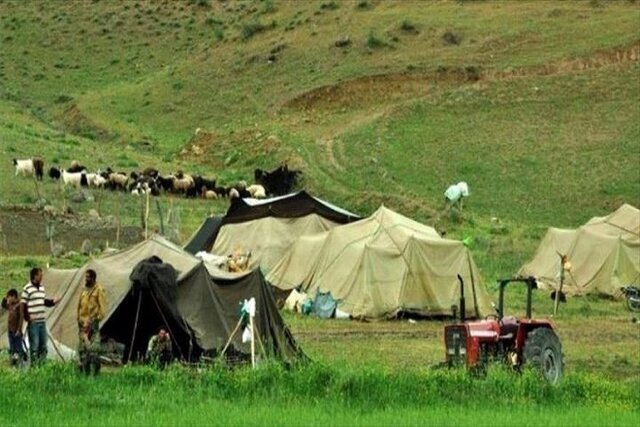 تولید قراردادی دام راه حلی برای کاهش مشکلات عشایر در تامین نهاده دامی