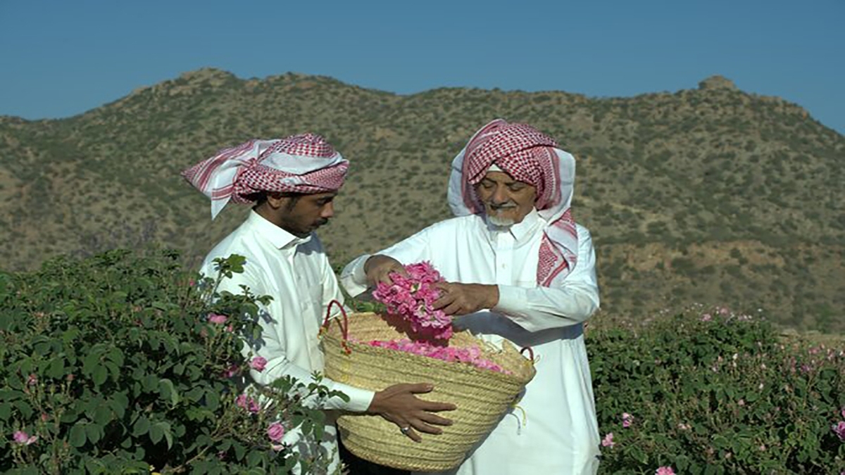 باشگاه خبرنگاران -ماجرای خبر «ثبت گل محمدی به‌نام عربستان» چیست؟