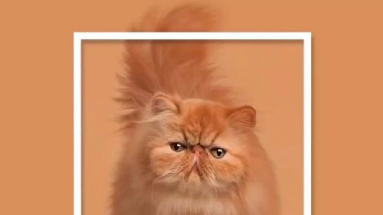 ۹ رنگی که در دنیا آنها را به نام ایران میشناسند رنگ نارنجی ایرانی (Persian Orange)