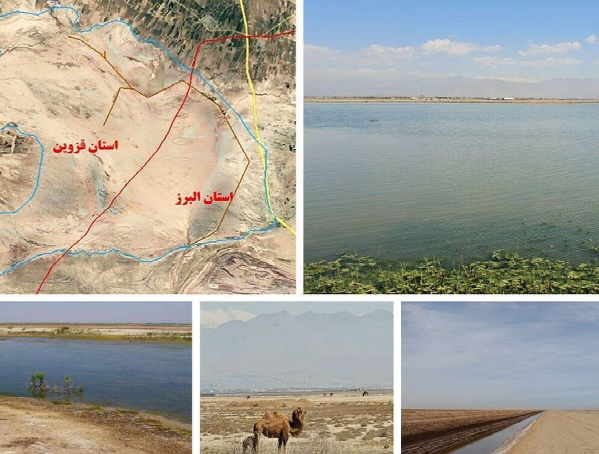 باشگاه خبرنگاران -گام مهم برای احیای تالاب صالحیه با دستور رئیس‌جمهور و پیگیری سازمان محیط زیست