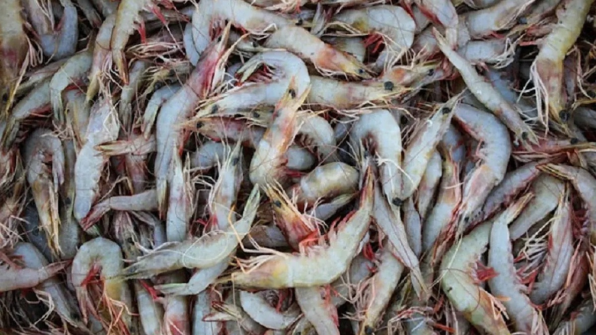 مرکز بازسازی و حفاظت از ذخایر ژنتیکی ماهیان خاویاری در گیلان