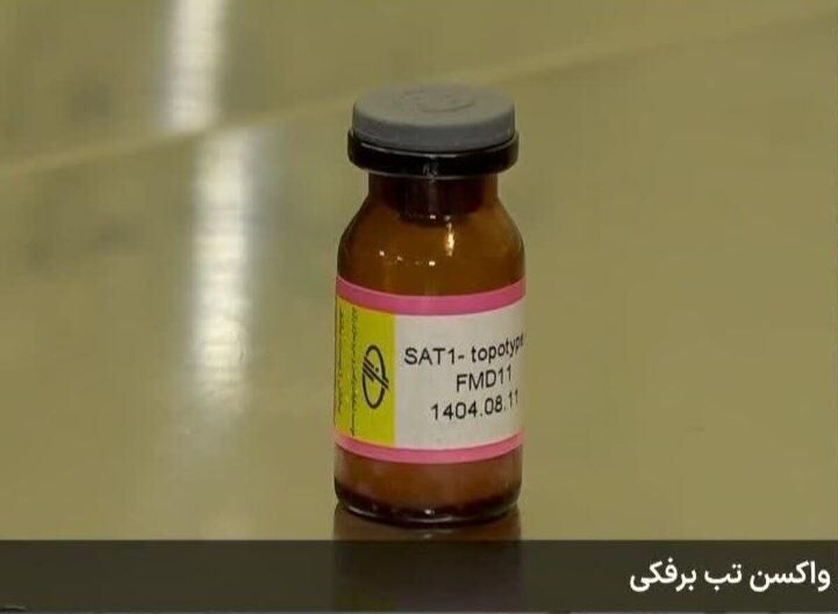 باشگاه خبرنگاران -واکسن جدید تب برفکی با ویروس غیر بومی SAT۱ تولید می شود